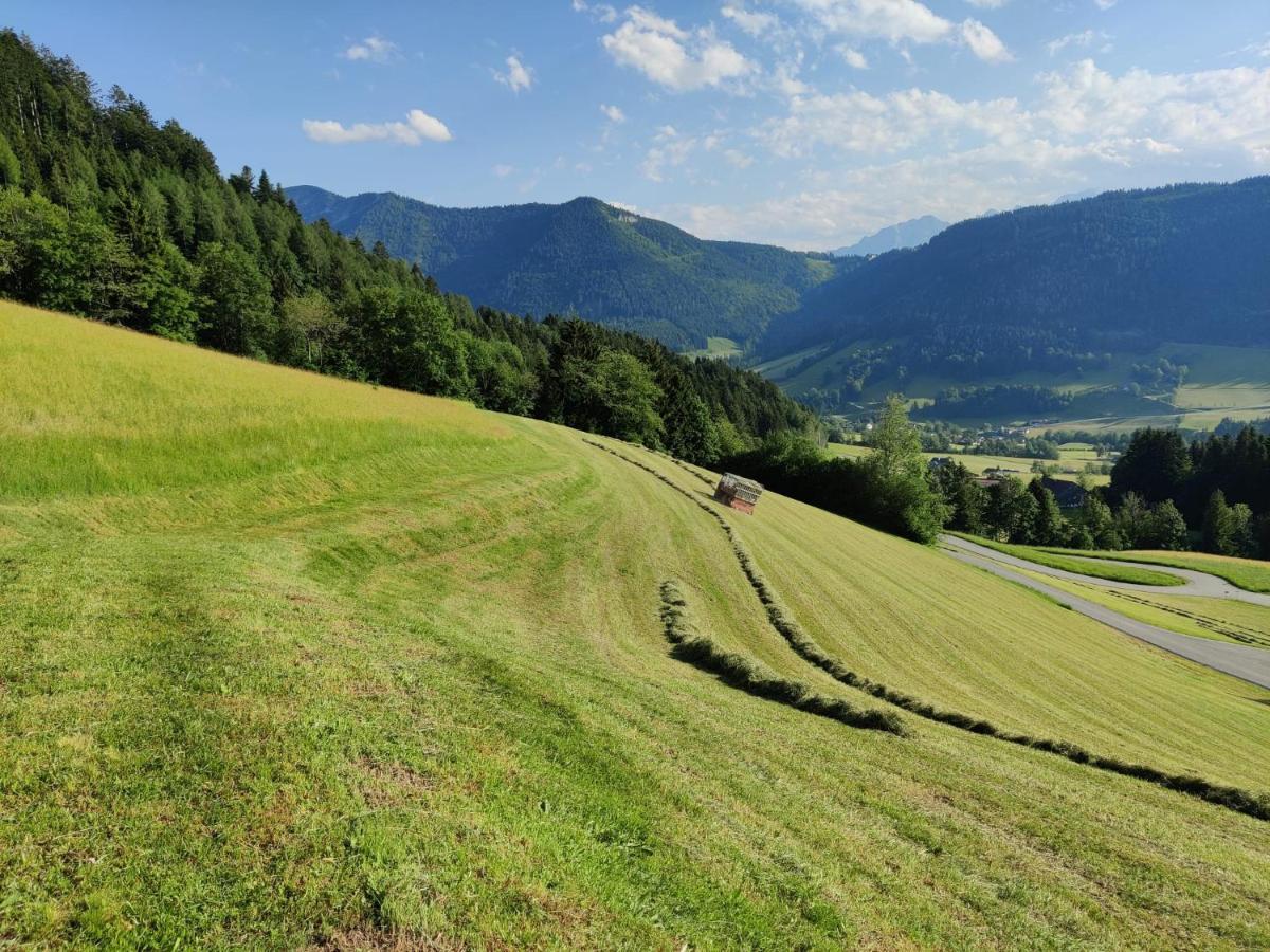 Ferienhaus Englbrecht Krispl エクステリア 写真